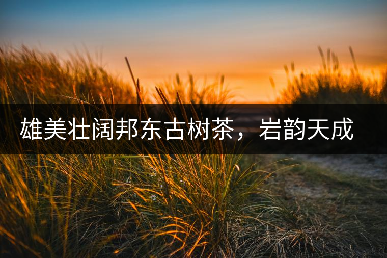 雄美壯闊邦東古樹(shù)茶，巖韻天成甘香鮮靈