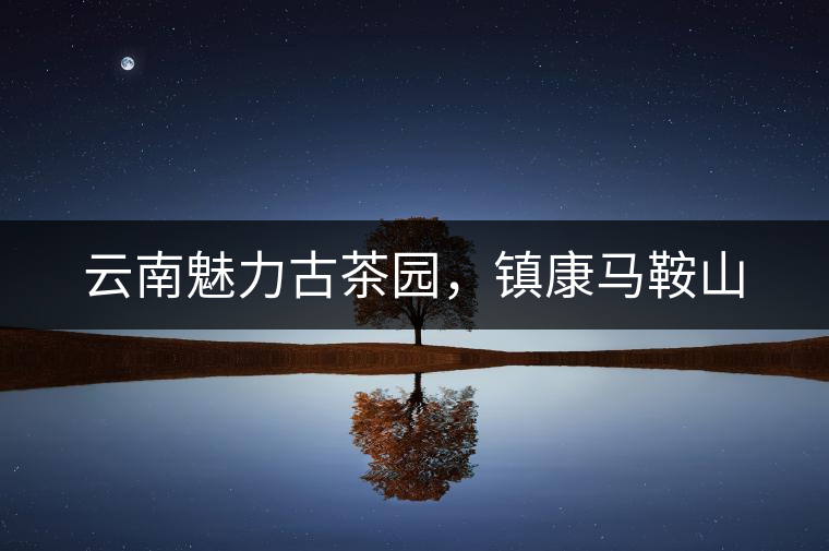 云南魅力古茶園，鎮(zhèn)康馬鞍山