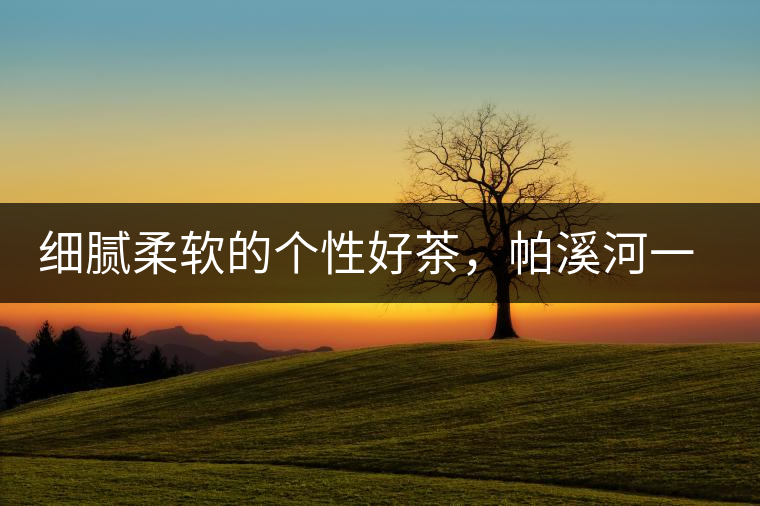 細膩柔軟的個性好茶，帕溪河一扇磨古樹茶