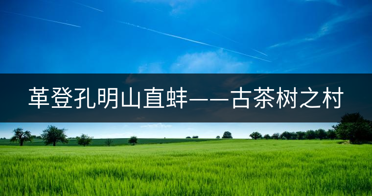 革登孔明山直蚌——古茶樹(shù)之村