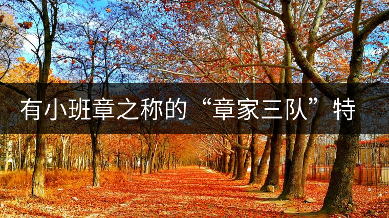有小班章之稱的“章家三隊”特點介紹 有小班章之稱的“章家三隊”特點介紹