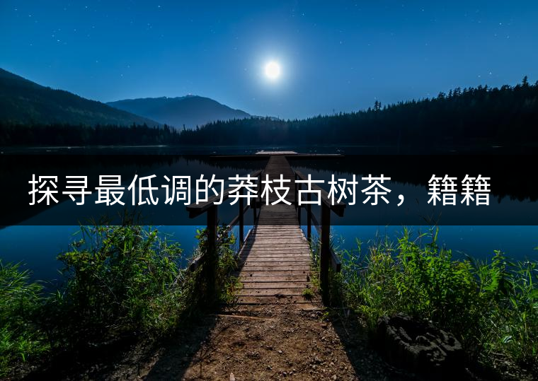 探尋最低調(diào)的莽枝古樹茶，籍籍無(wú)名出好茶