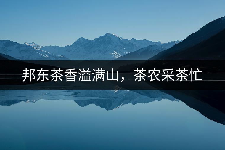 邦東茶香溢滿山，茶農(nóng)采茶忙