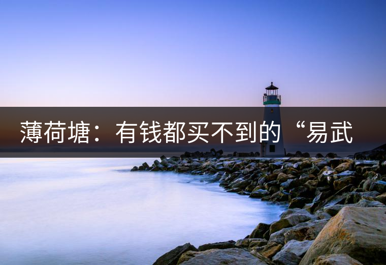 薄荷塘：有錢都買不到的“易武貴胄”，卓爾不群，無茶可及
