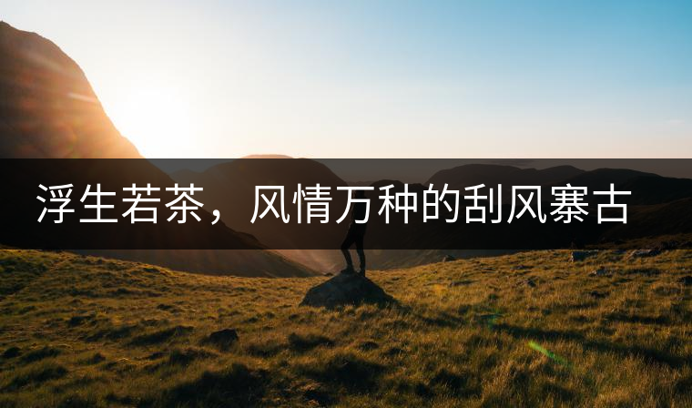 浮生若茶，風(fēng)情萬(wàn)種的刮風(fēng)寨古樹(shù)茶