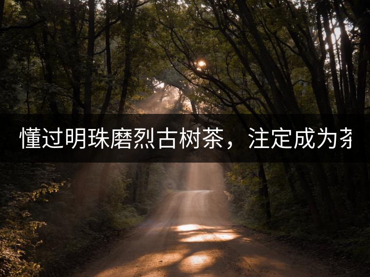 懂過明珠磨烈古樹茶，注定成為茶桌上的傳說！