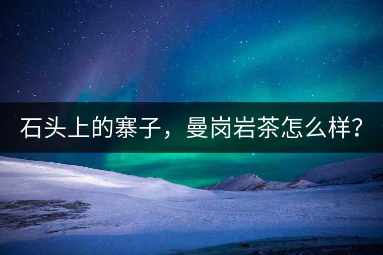 石頭上的寨子，曼崗巖茶怎么樣？