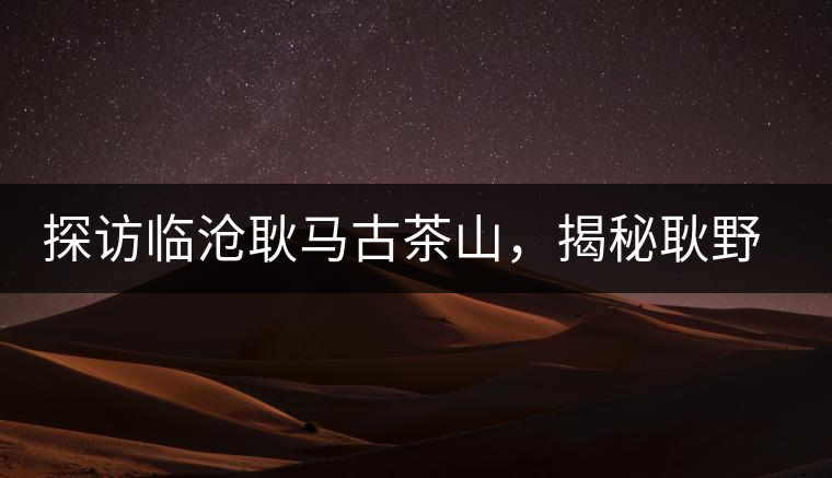 探訪臨滄耿馬古茶山，揭秘耿野生古茶樹群落