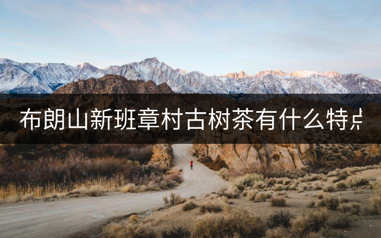布朗山新班章村古樹茶有什么特點？