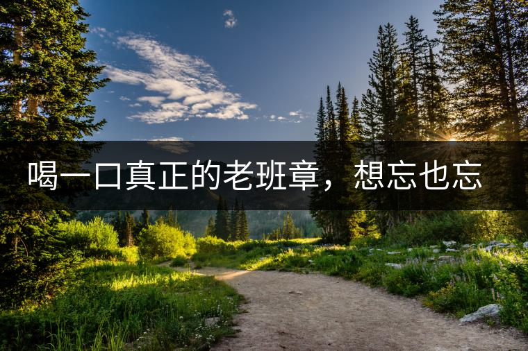 喝一口真正的老班章，想忘也忘不了的味道