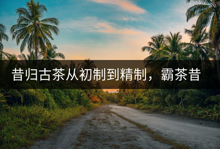 昔歸古茶從初制到精制，霸茶昔歸茶農(nóng)專業(yè)合作社成立