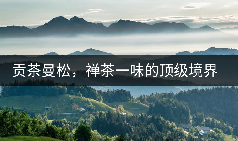 貢茶曼松，禪茶一味的頂級(jí)境界無味之味