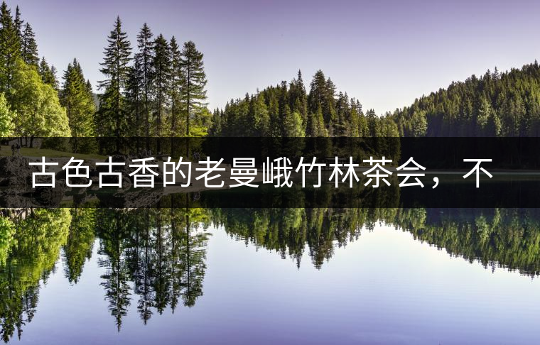 古色古香的老曼峨竹林茶會(huì)，不一樣的古樹(shù)茶