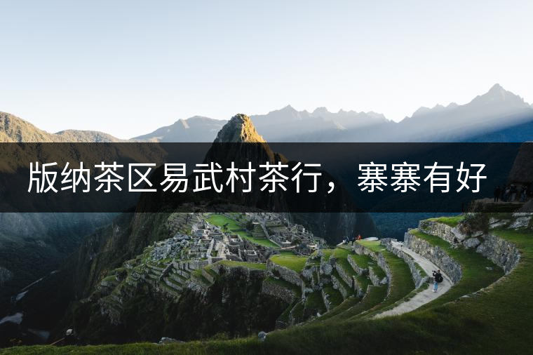 版納茶區(qū)易武村茶行，寨寨有好茶處處古茶香