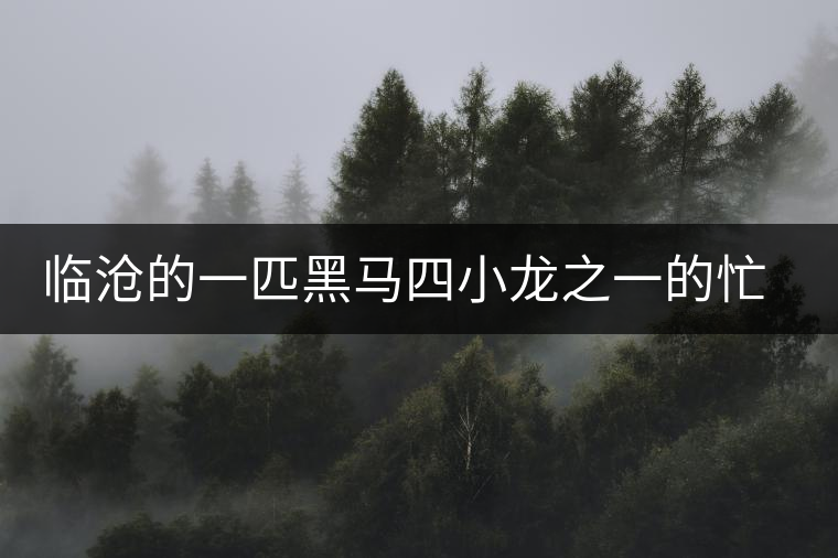 臨滄的一匹黑馬四小龍之一的忙肺茶到底有多老？