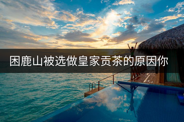 困鹿山被選做皇家貢茶的原因你了解嗎？