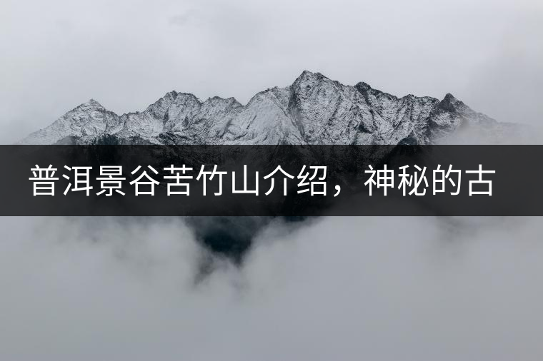普洱景谷苦竹山介紹，神秘的古樹普洱茶原產(chǎn)地