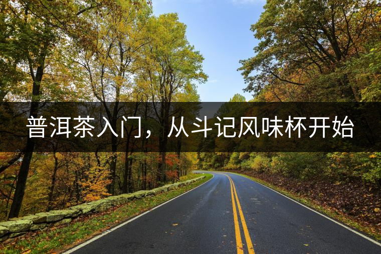 普洱茶入門，從斗記風味杯開始