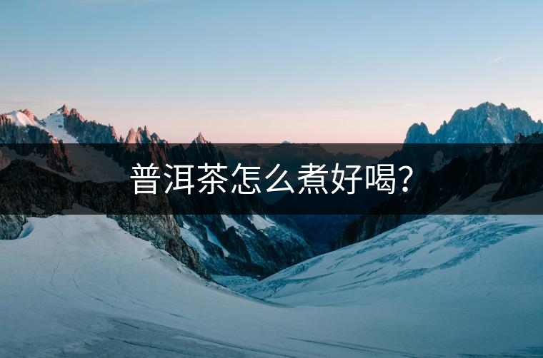 普洱茶怎么煮好喝？