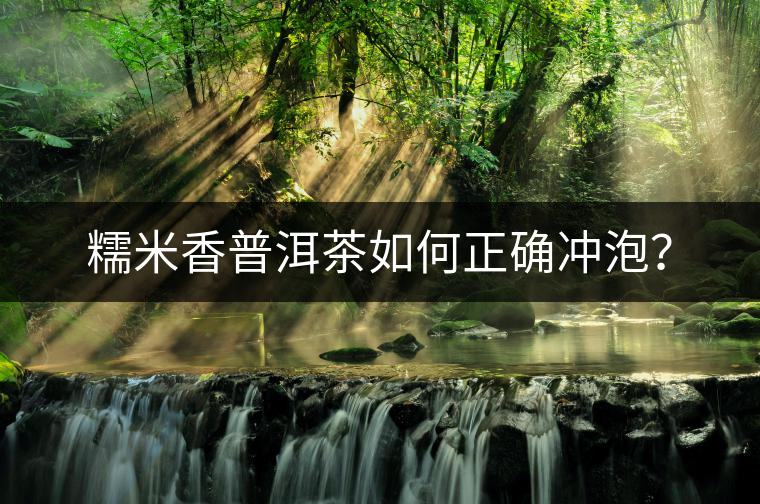 糯米香普洱茶如何正確沖泡？