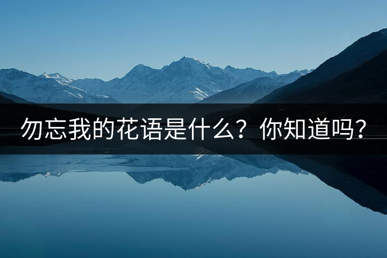 勿忘我的花語是什么？你知道嗎？