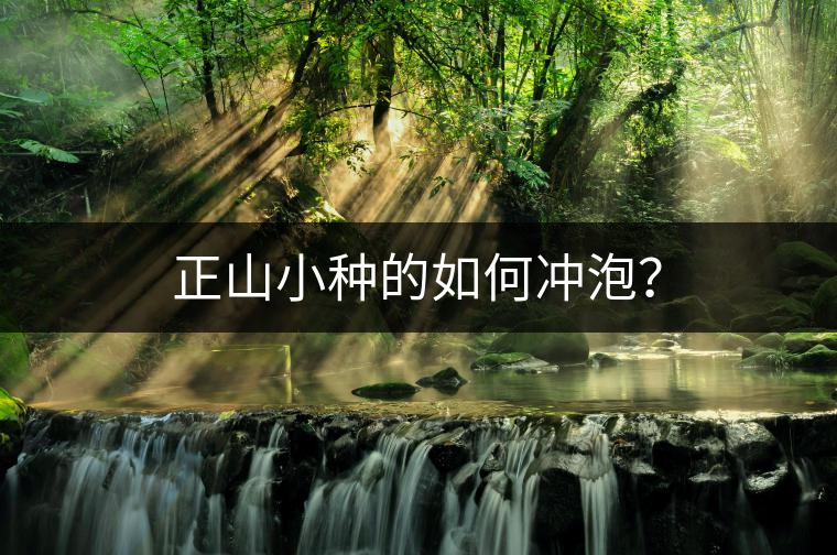 正山小種的如何沖泡？