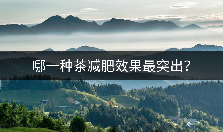 哪一種茶減肥效果最突出？