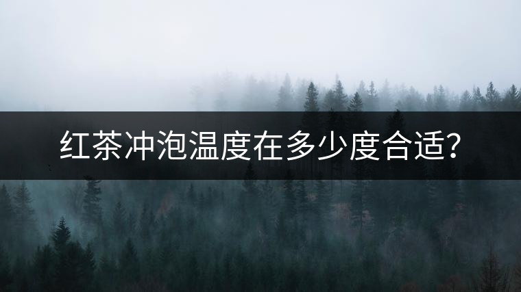 紅茶沖泡溫度在多少度合適？