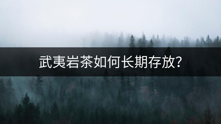 武夷巖茶如何長期存放？