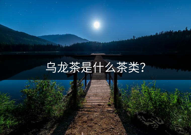 烏龍茶是什么茶類？