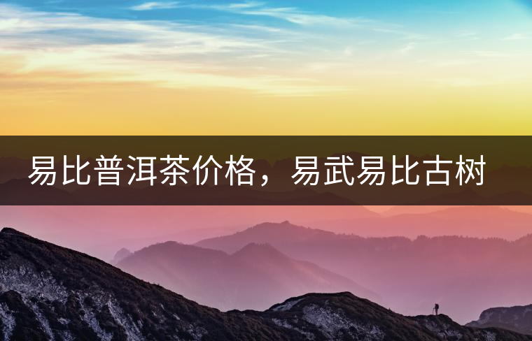 易比普洱茶價(jià)格，易武易比古樹茶多少錢？