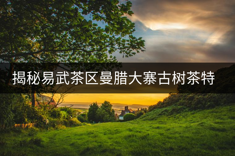 揭秘易武茶區(qū)曼臘大寨古樹茶特點(diǎn)