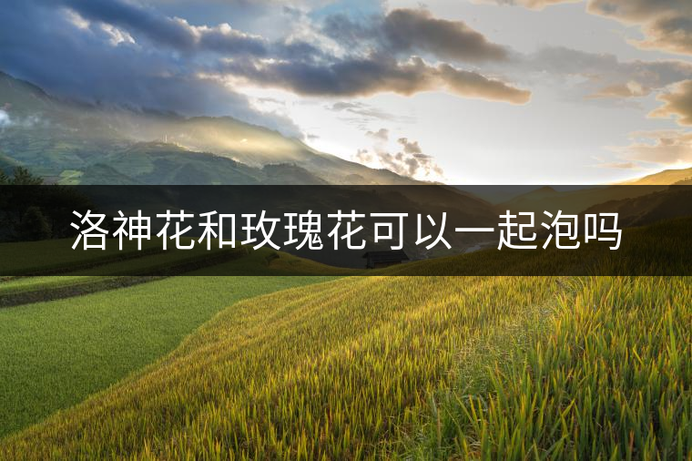 洛神花和玫瑰花可以一起泡嗎