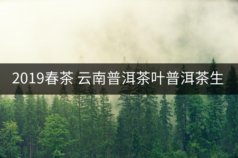 2019春茶 云南普洱茶葉普洱茶生茶 易武正山古樹純料生茶357g貢餅 2019春茶 云南普洱茶葉普洱茶生茶 易武正山古樹純料生茶357g貢餅