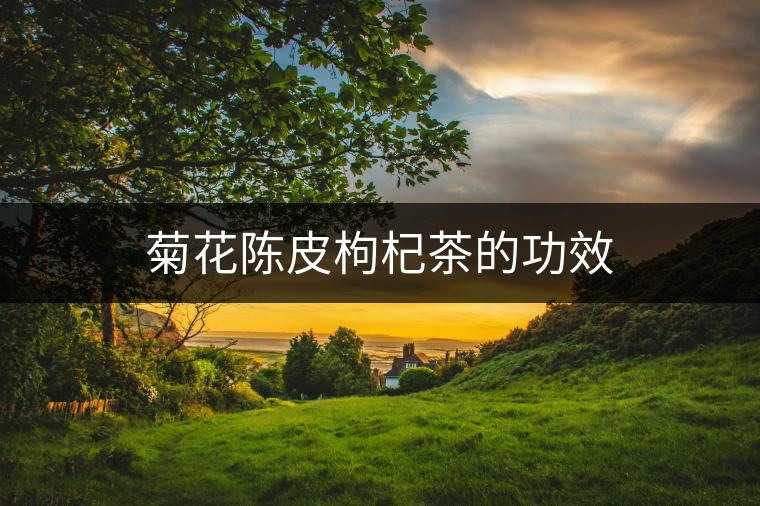 菊花陳皮枸杞茶的功效
