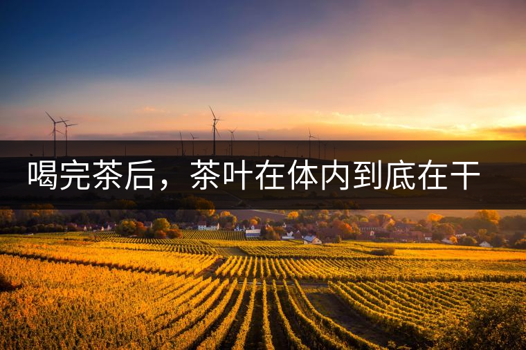 喝完茶后，茶葉在體內(nèi)到底在干嘛，游走的茶水
