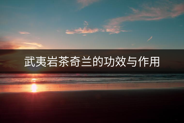武夷巖茶奇蘭的功效與作用
