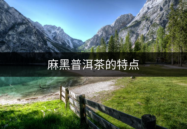 麻黑普洱茶的特點(diǎn)