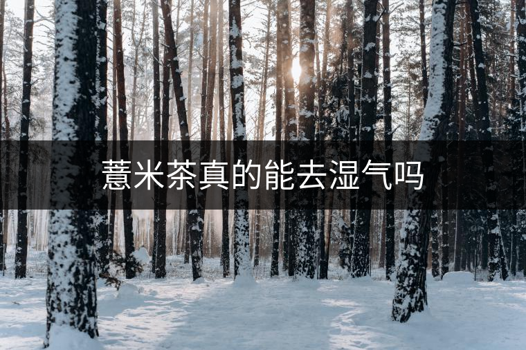 薏米茶真的能去濕氣嗎