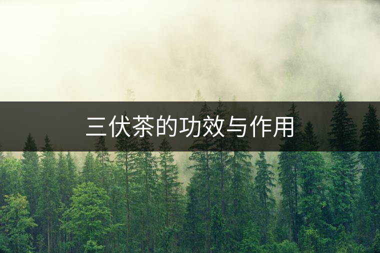 三伏茶的功效與作用