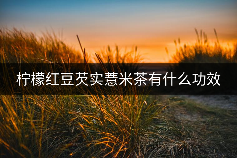 檸檬紅豆芡實(shí)薏米茶有什么功效