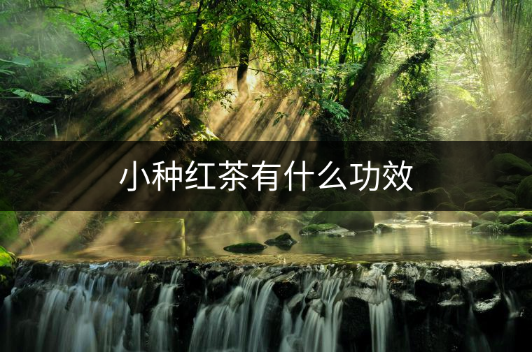 小種紅茶有什么功效