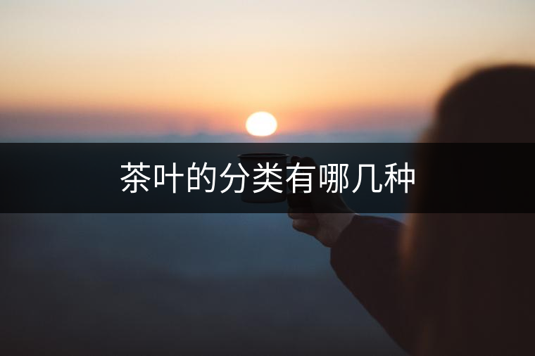 茶葉的分類(lèi)有哪幾種