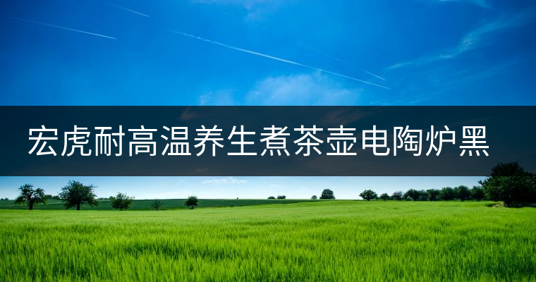 宏虎耐高溫養(yǎng)生煮茶壺電陶爐黑茶普洱茶金箔玻璃煮茶器側(cè)把燒水壺