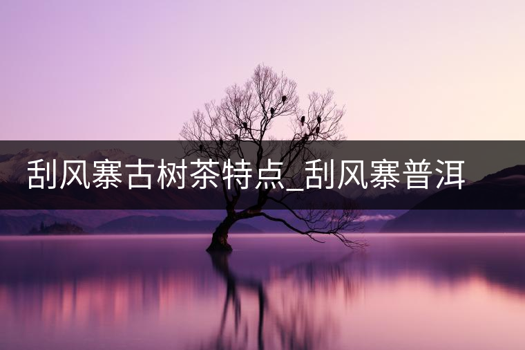 刮風(fēng)寨古樹茶特點(diǎn)_刮風(fēng)寨普洱茶口感 刮風(fēng)寨古樹茶特點(diǎn)_刮風(fēng)寨普洱茶口感