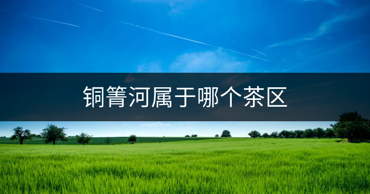 銅箐河屬于哪個茶區(qū)