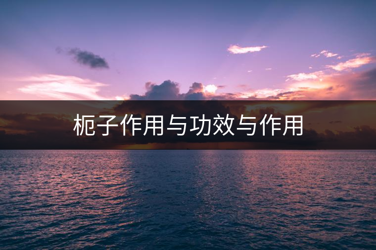 枙子作用與功效與作用
