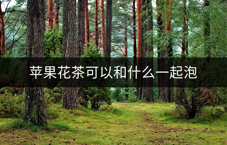 蘋(píng)果花茶可以和什么一起泡