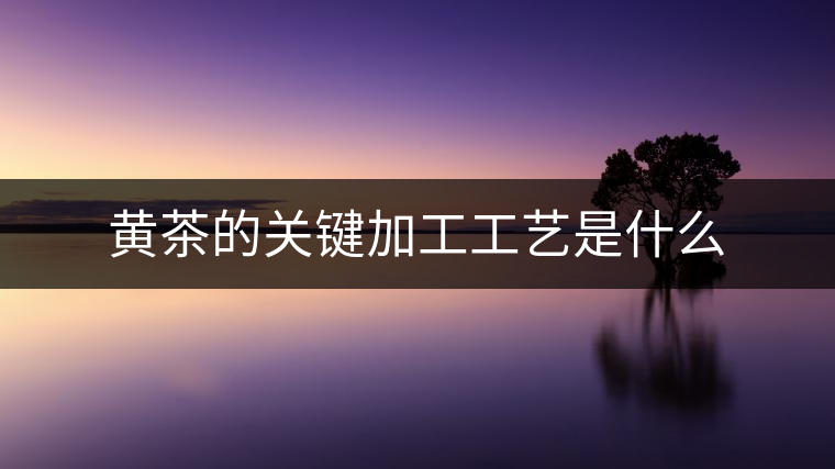黃茶的關鍵加工工藝是什么 黃茶的關鍵加工工藝是什么