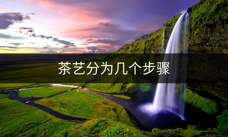 茶藝分為幾個步驟